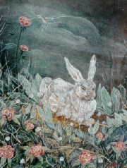 gallerypeterrabbit.jpg